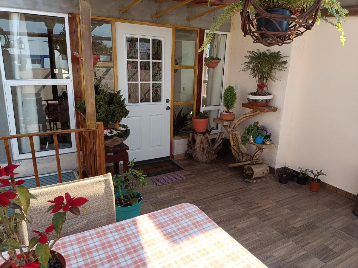 Penthouse Con Roof Garden Privado Aeropuerto Cdmx Mexiko-Stadt